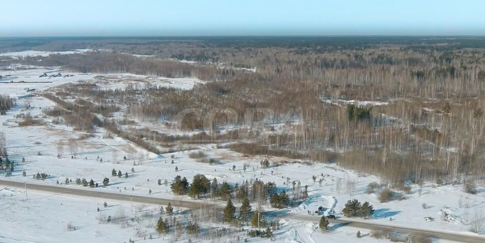 земля р-н Нижнетавдинский снт Сундукуль Тюмень фото 3