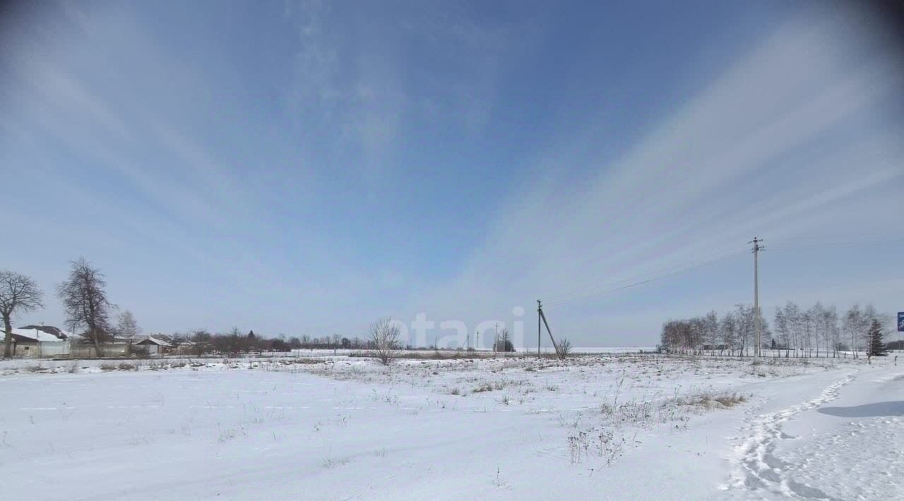 земля р-н Губкинский с Бобровы Дворы ул Белгородская фото 4