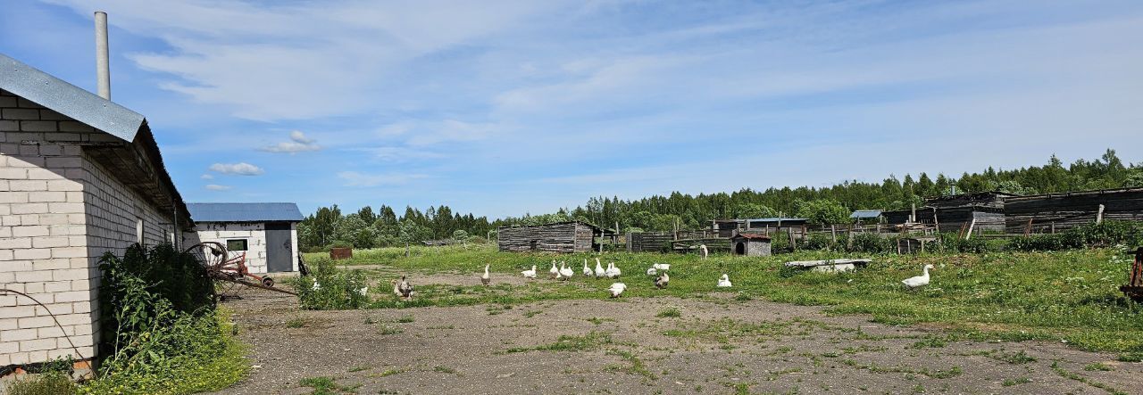 дом р-н Новгородский д Белая Гора ул Замошская Бронницкое с пос фото 6