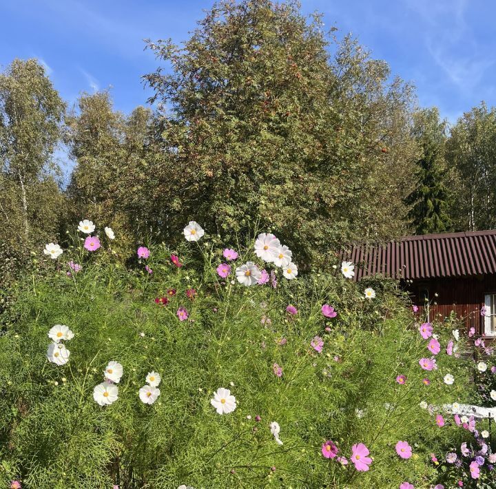 дом р-н Всеволожский Рахьинское городское поселение, 13, Борисова Грива садоводческий массив, Огонек СНТ фото 43