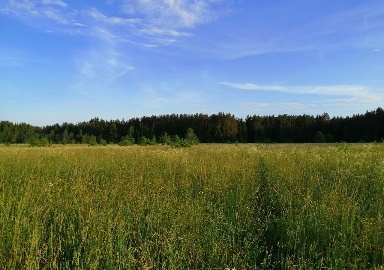 земля городской округ Можайский д Махово 122 км, Уваровка, Минское шоссе фото 11