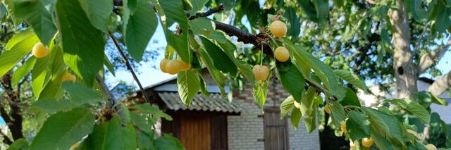 снт Изумрудный Белокалитвинское городское поселение фото