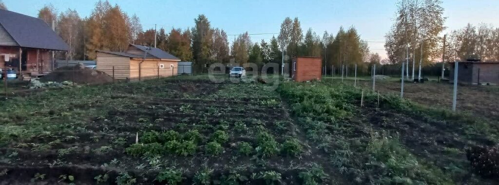 дом сельсовет, Площадь Маркса, садовое некоммерческое товарищество Огонёк, Мичуринский фото 9