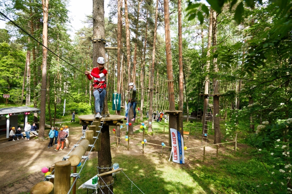 гостиницу г Зеленогорск ш Приморское лит. Б, д. 593 фото 33