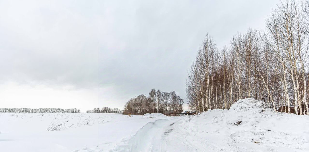 земля г Бердск снт Марьин Лог фото 1