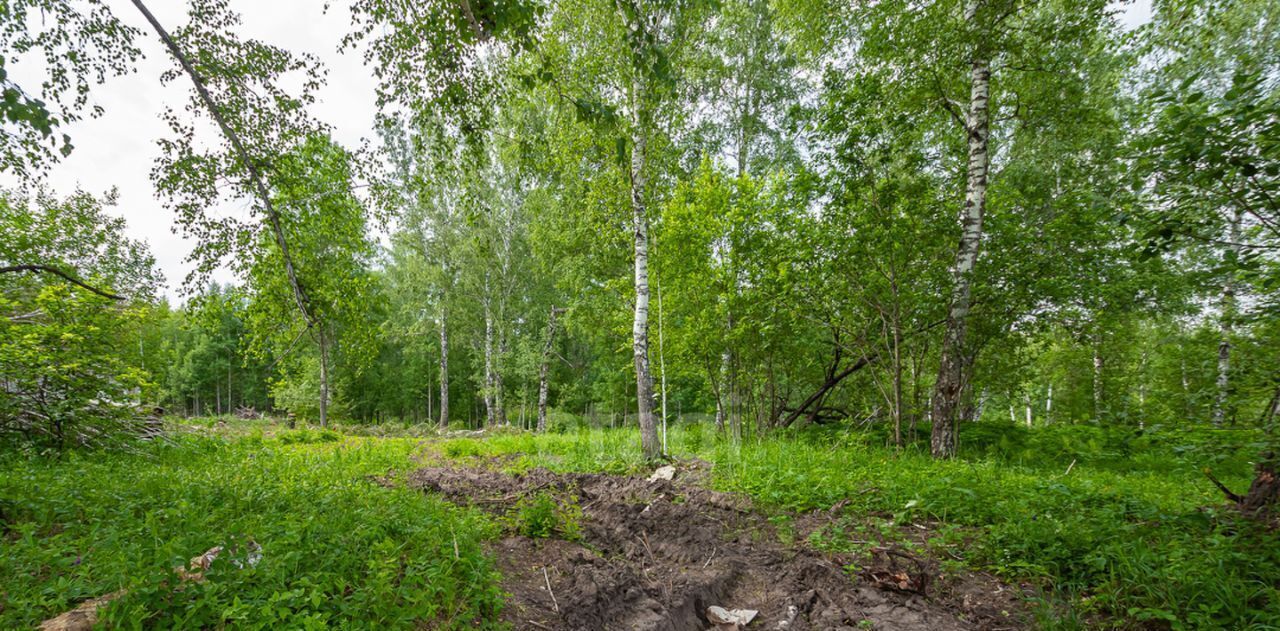 земля р-н Новосибирский с Ленинское снт Берег Барышевский сельсовет, ДНТ, 125, Лазурный фото 2