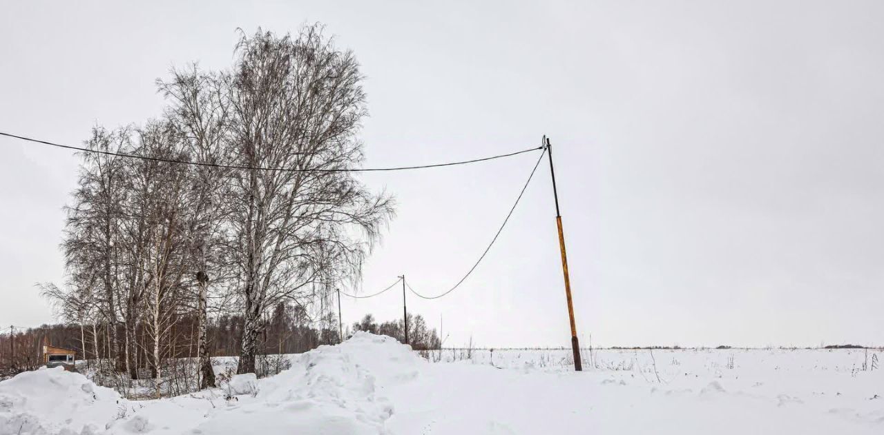 земля г Бердск снт Марьин Лог фото 9