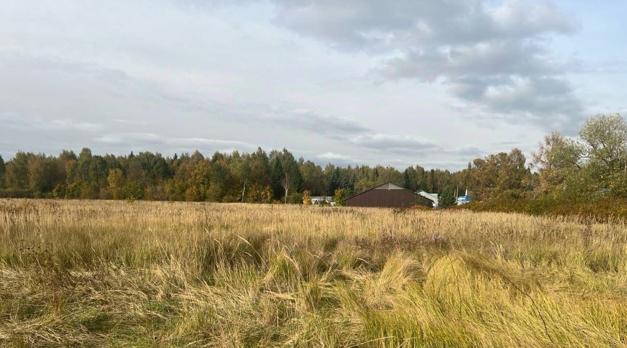 офис городской округ Серпухов д Ивановское фото 2