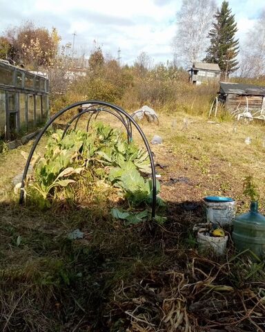 земля р-н Октябрьский СНТ Рассвет при НПО Вирион, 8-я ул фото