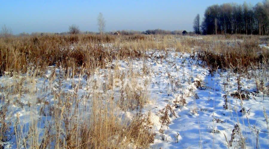 земля городской округ Раменский д Заболотье ул Прудовая 26 км, Раменское, Рязанское шоссе фото 2