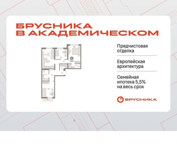 Чкаловская ЖК Брусника в Академическом фото