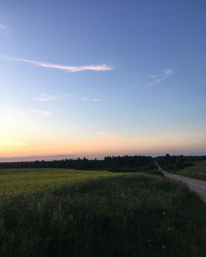 земля р-н Красногородский д Котяги Красногородск фото 4