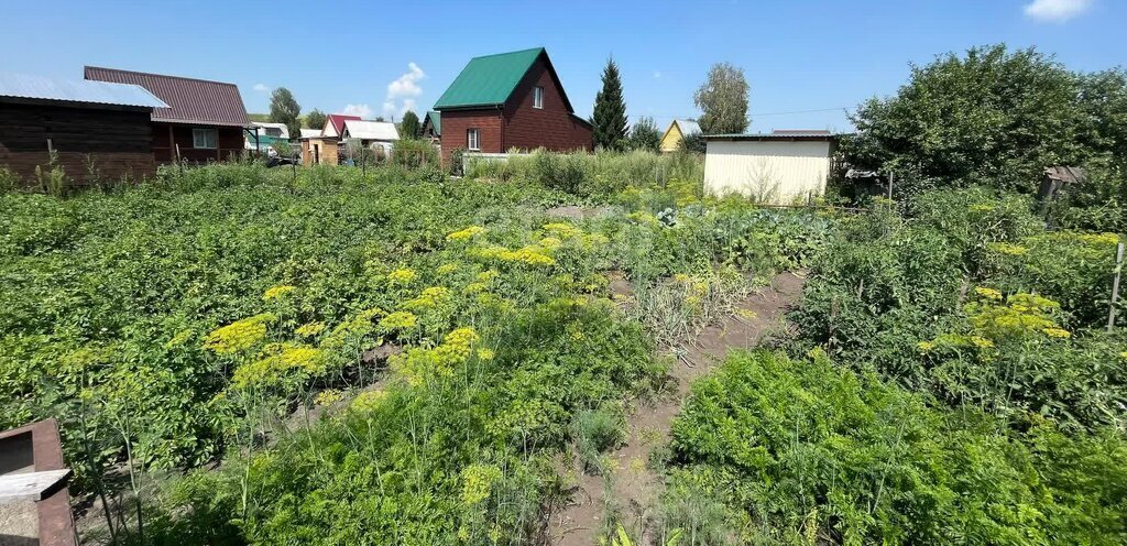 земля р-н Искитимский п Чернореченский сельсовет, садовое некоммерческое товарищество Ивушка, 15-я улица фото 4