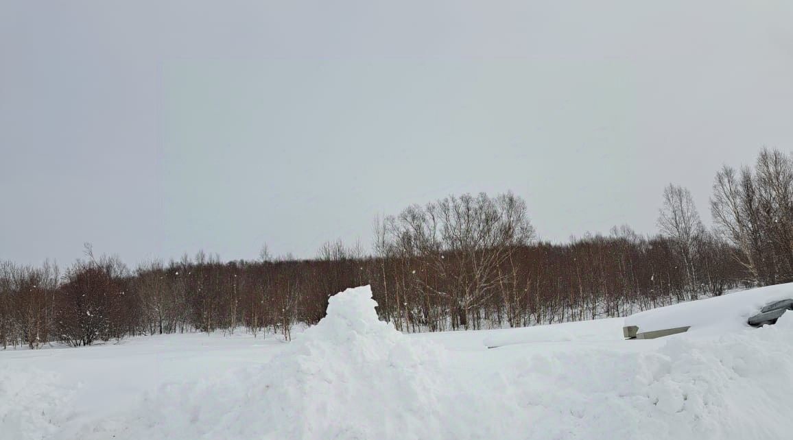 земля г Южно-Сахалинск фото 3