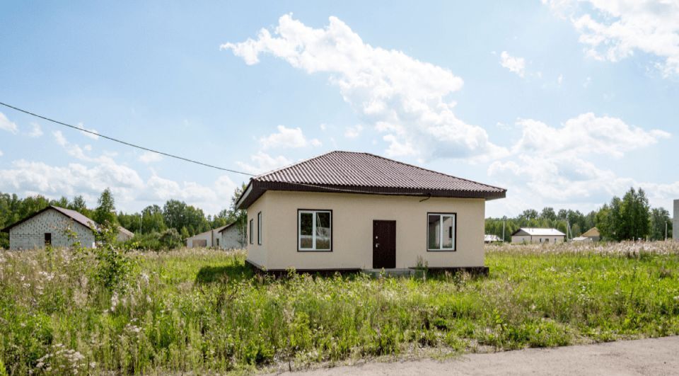 дом р-н Новосибирский снт Облепиха Станционный сельсовет, ТСН фото 18