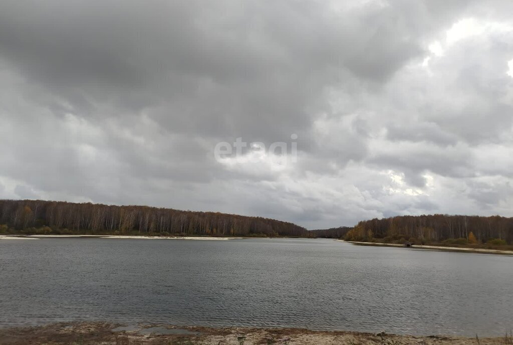 дом р-н Новосибирский Берёзовский сельсовет, ТСН Тандем фото 11