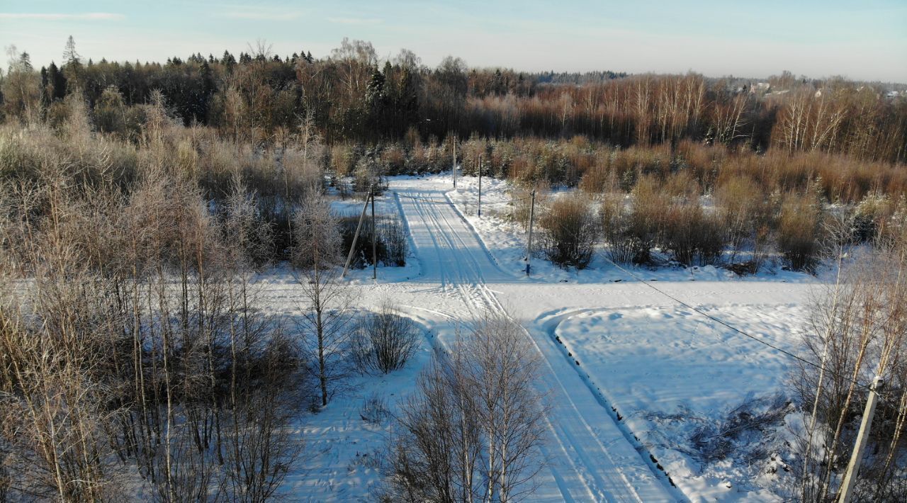 земля городской округ Дмитровский д Данилиха фото 3