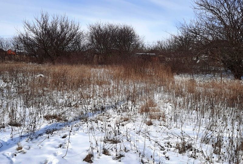 земля р-н Белгородский с Стрелецкое снт Домостроитель-1 Стрелецкое сельское поселение, Белгород фото 9