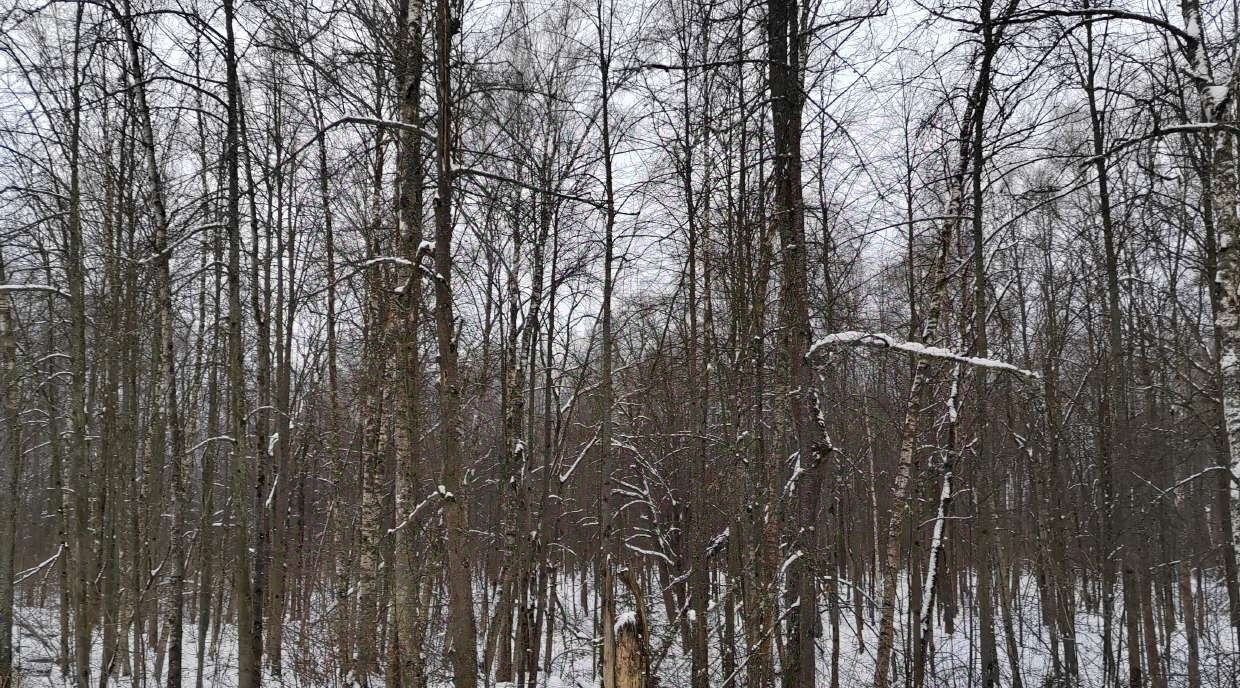 офис городской округ Чехов д Ваулово фото 1