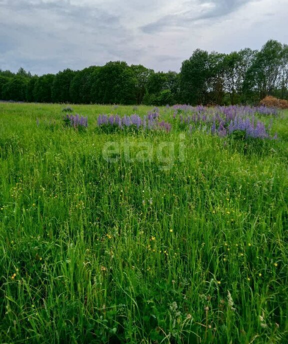 земля р-н Дивеевский с Яковлевка ул Садовая фото 1