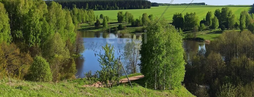 земля р-н Богородский д Куликово фото 1