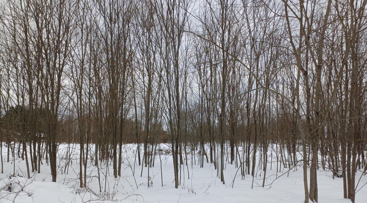 офис городской округ Наро-Фоминский д Берюлёво фото 2