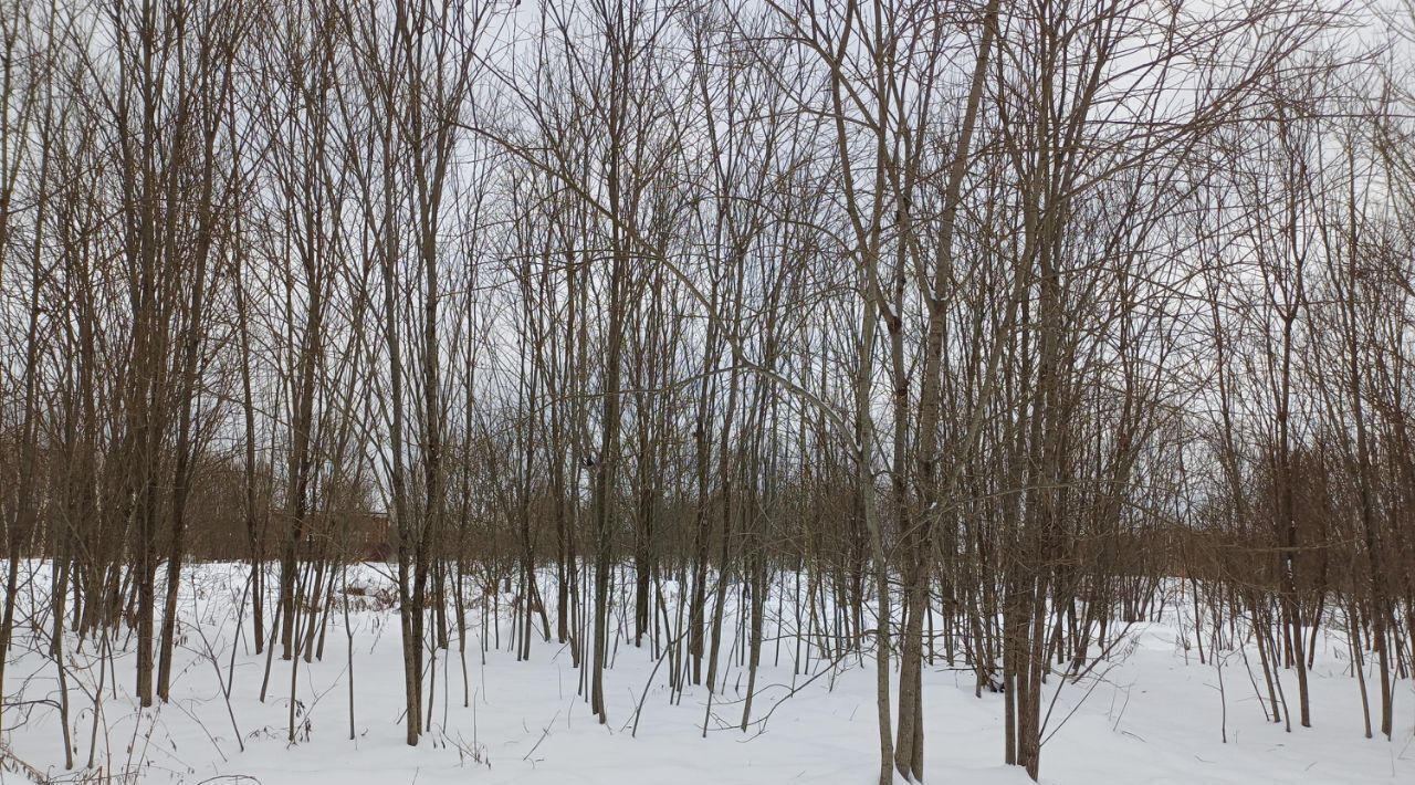 офис городской округ Наро-Фоминский д Берюлёво фото 3