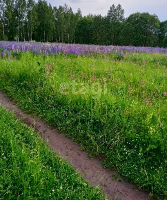 земля р-н Дивеевский с Яковлевка ул Садовая фото 2