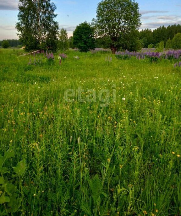 земля р-н Дивеевский с Яковлевка ул Садовая фото 3