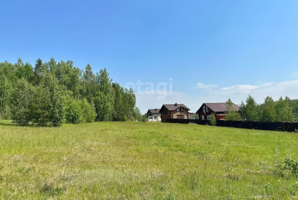 земля р-н Чкаловский д Гребнево городской округ Чкаловск фото 3