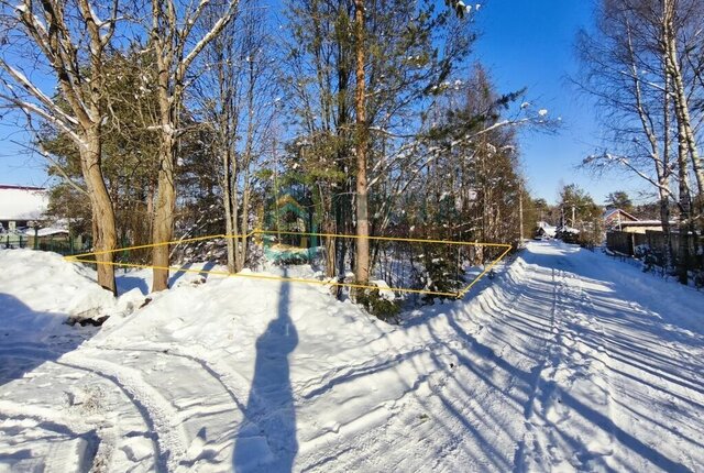 снт тер.Сарженка-3 Парнас, деревня Сарженка фото