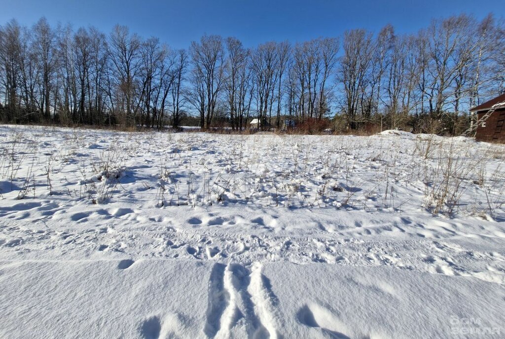 земля р-н Выборгский п Мамонтовка Приморское городское поселение фото 1