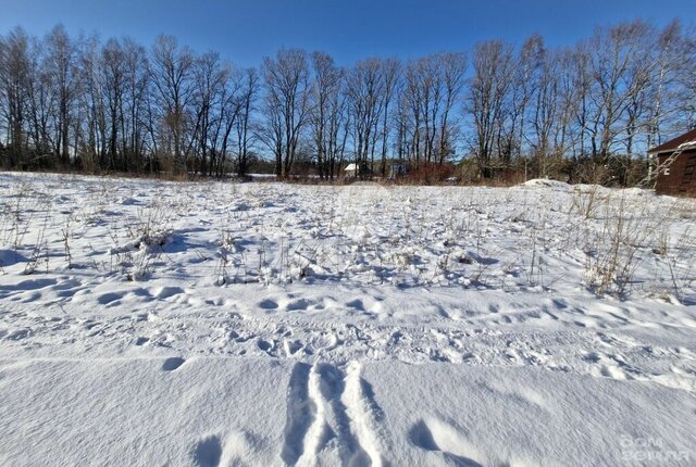 земля п Мамонтовка Приморское городское поселение фото