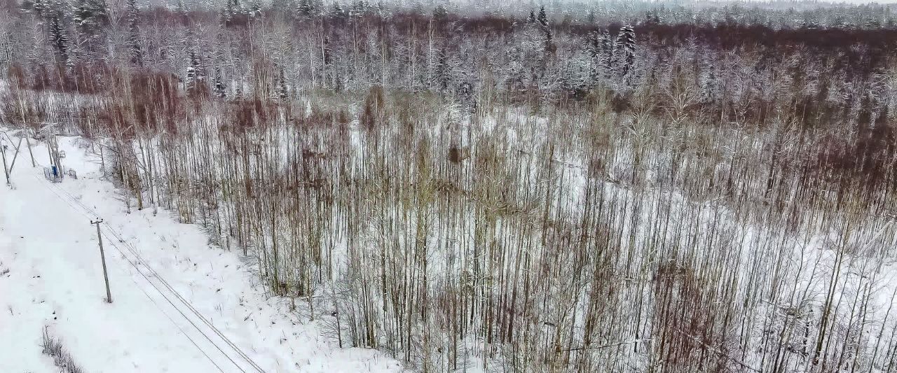 земля р-н Всеволожский снт Корневские Гривки ул Прибрежная Щегловское с/пос, ТСН фото 1