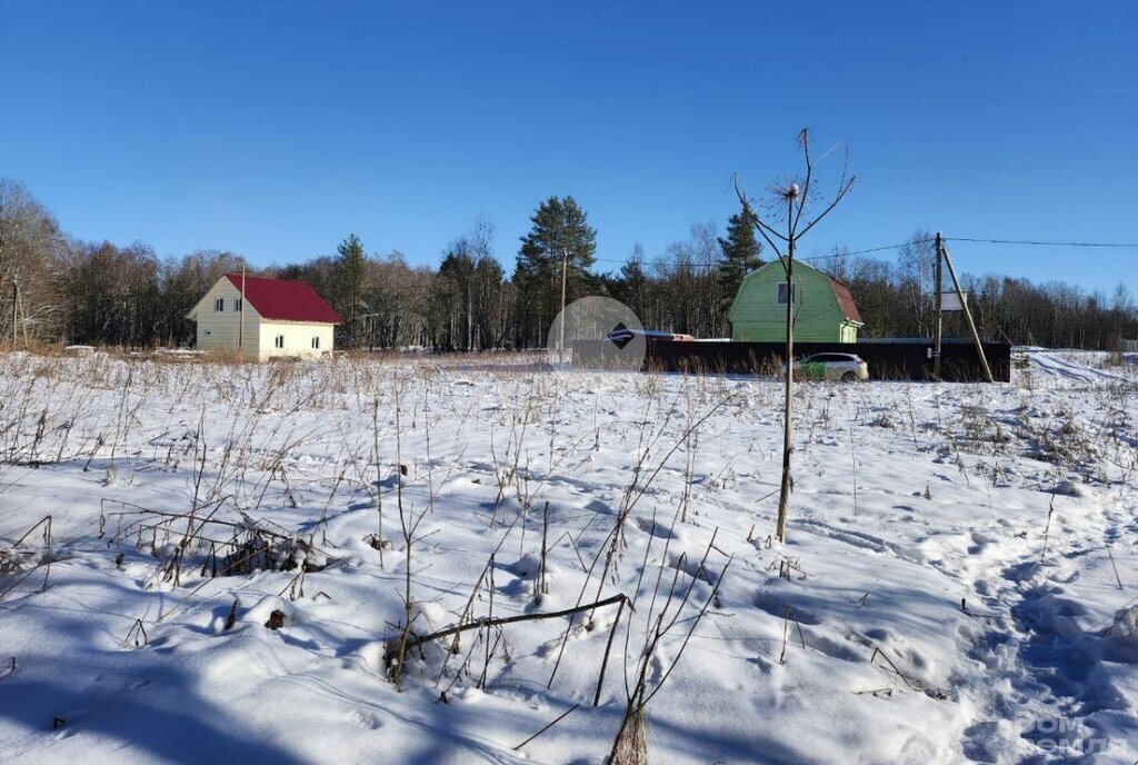 земля р-н Выборгский п Мамонтовка Приморское городское поселение фото 2