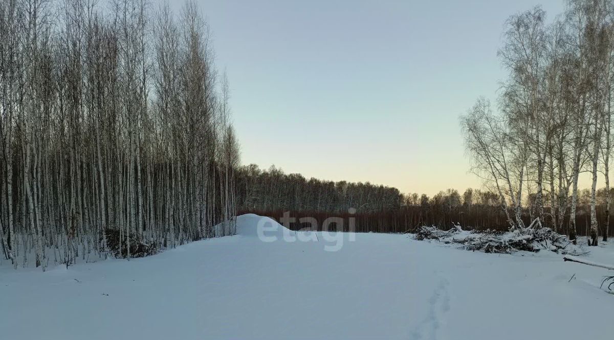 земля р-н Сосновский с Кременкуль фото 3