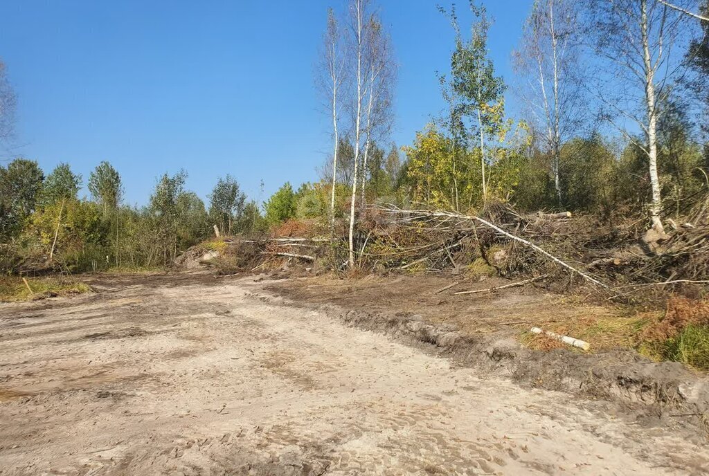 земля г Брянск р-н Володарский фото 6