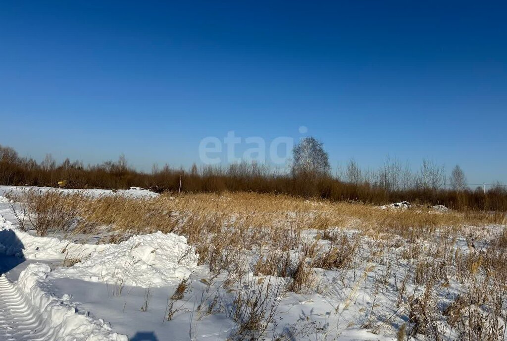 земля г Тюмень снт Поле чудес ул Виноградная фото 4