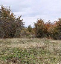 земля снт Звездочка сельсовет, Маршала Жукова, Клюквинский фото