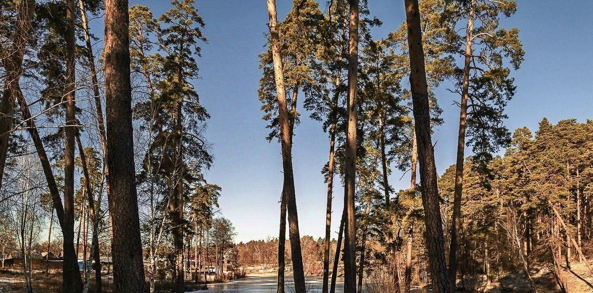 дом р-н Тамбовский с Тулиновка ул Счастливая 1 фото 12