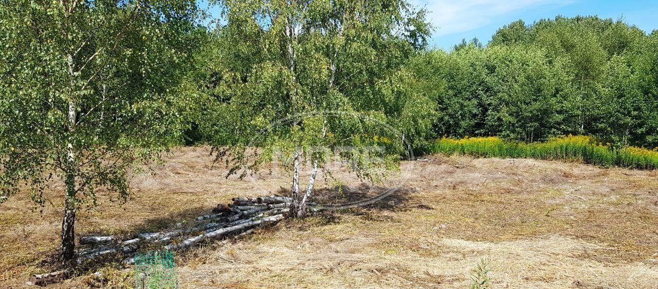 земля р-н Зеленоградский п Холмогоровка Калининград, Зеленоградский муниципальный округ фото 4