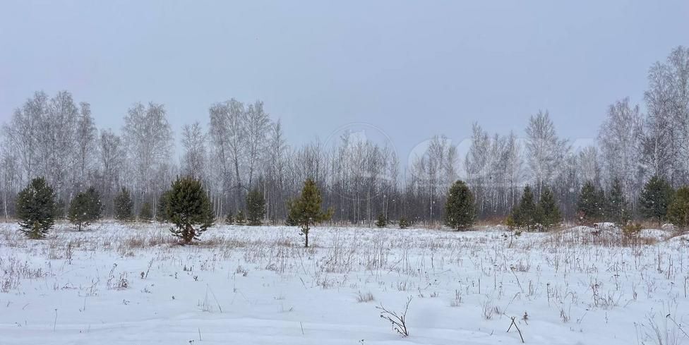 земля р-н Тюменский с Успенка Переваловское муниципальное образование фото 6