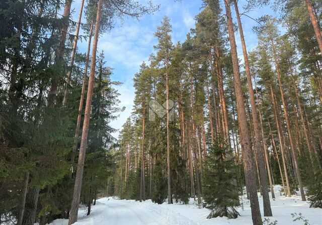 земля Трасса Сортавала, 121 км, Кузнечнинское городское поселение, Сапфировая ул, Кузнечное фото