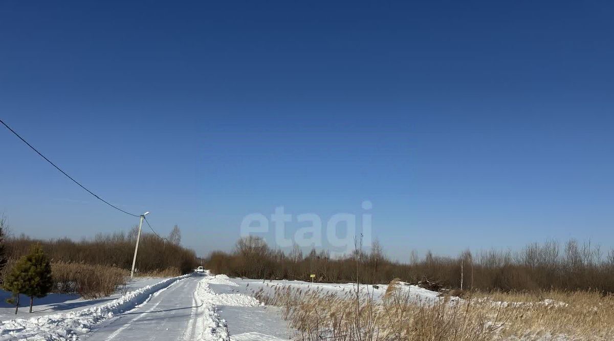 земля г Тюмень р-н Центральный снт Поле чудес ул Виноградная фото 6