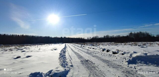 Заневское городское поселение, Ладожская, коттеджный посёлок Терра Парк фото