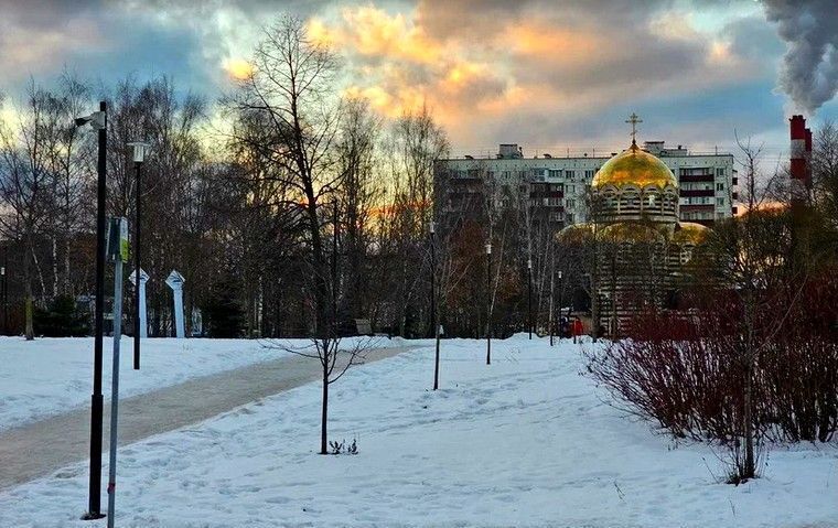 квартира г Москва метро Щелковская ул Уральская 8 фото 5