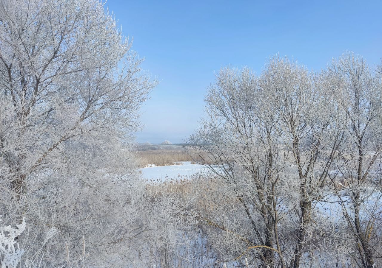 дом р-н Аннинский с Бродовое ул Советская 42 Бродовское сельское поселение, Анна фото 7