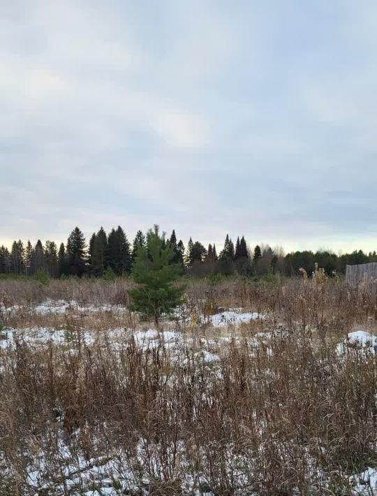 земля г Краснокамск п Ласьва фото 2