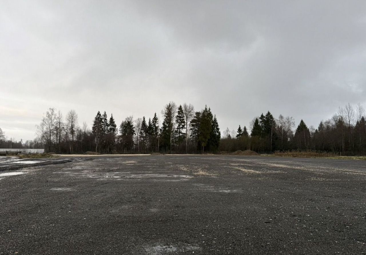 земля городской округ Шаховская рп Шаховская 120 км, Центральная пл, Новорижское шоссе фото 1