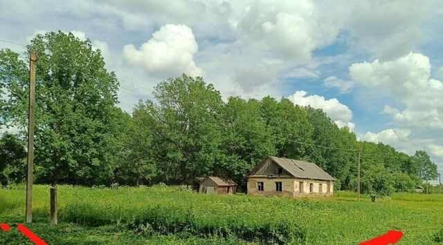 дом д Татарка фото